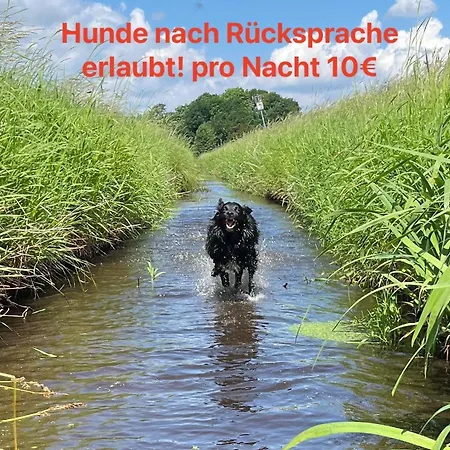 Diershof Ferienhaus Walsrode